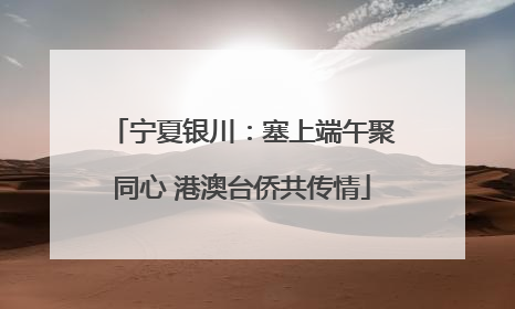 宁夏银川：塞上端午聚同心 港澳台侨共传情