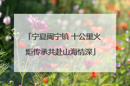 宁夏闽宁镇 十公里火炬传承共赴山海情深