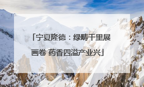 宁夏隆德：绿畴千里展画卷 药香四溢产业兴