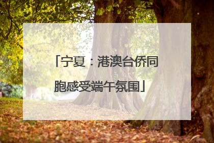 宁夏：港澳台侨同胞感受端午氛围