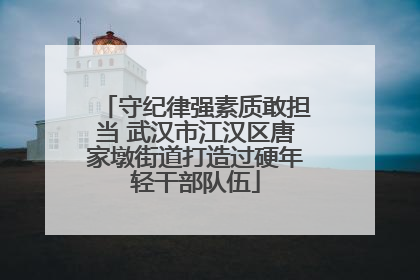守纪律强素质敢担当 武汉市江汉区唐家墩街道打造过硬年轻干部队伍