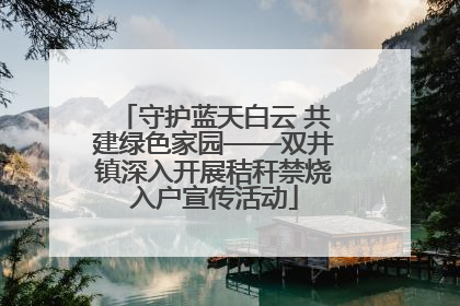 守护蓝天白云 共建绿色家园——双井镇深入开展秸秆禁烧入户宣传活动