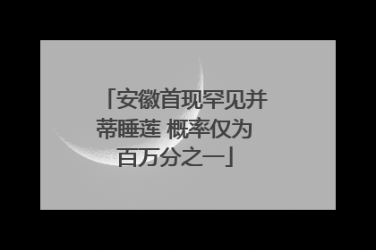 安徽首现罕见并蒂睡莲 概率仅为百万分之一