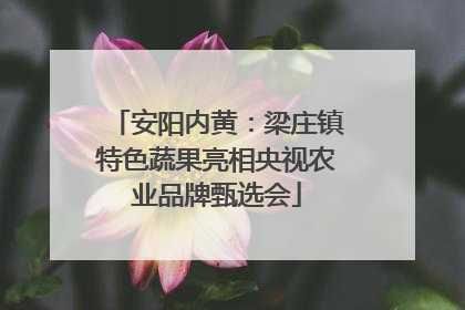 安阳内黄：梁庄镇特色蔬果亮相央视农业品牌甄选会