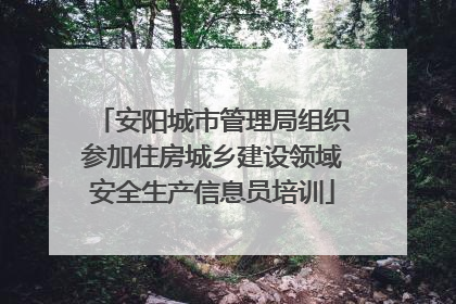 安阳城市管理局组织参加住房城乡建设领域安全生产信息员培训