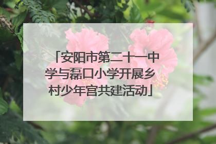 安阳市第二十一中学与磊口小学开展乡村少年宫共建活动