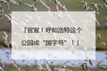 官宣！呼和浩特这个公园成“国字号”！