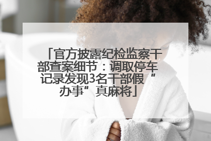 官方披露纪检监察干部查案细节：调取停车记录发现3名干部假“办事”真麻将