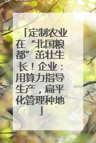 定制农业在“北国粮都”茁壮生长！企业：用算力指导生产，扁平化管理种地