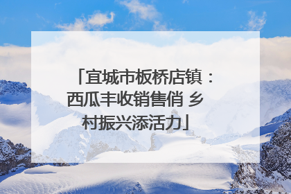 宜城市板桥店镇：西瓜丰收销售俏 乡村振兴添活力