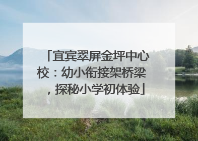 宜宾翠屏金坪中心校：幼小衔接架桥梁，探秘小学初体验