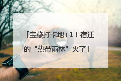 宝藏打卡地+1！宿迁的“热带雨林”火了