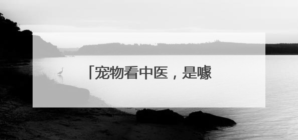 宠物看中医，是噱头？还是新赛道？