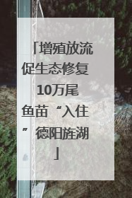 增殖放流促生态修复 10万尾鱼苗“入住”德阳旌湖