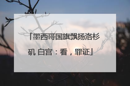 墨西哥国旗飘扬洛杉矶 白宫：看，罪证