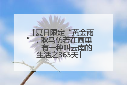 夏日限定“黄金雨”，耿马仿若在画里——有一种叫云南的生活之365天