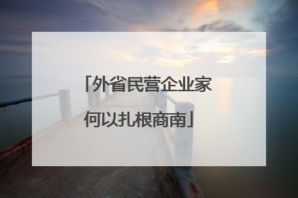 外省民营企业家何以扎根商南