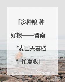 多种粮 种好粮——晋南“麦田夫妻档”忙夏收