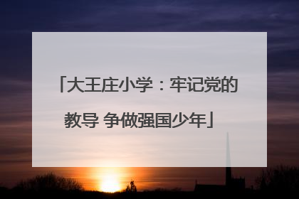 大王庄小学：牢记党的教导 争做强国少年