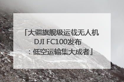 大疆旗舰级运载无人机DJI FC100发布：低空运输集大成者