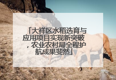 大祥区水稻选育与应用项目实现新突破，农业农村局全程护航成果斐然