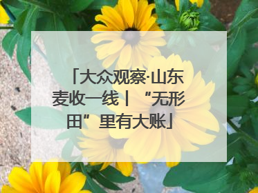 大众观察·山东麦收一线丨“无形田”里有大账