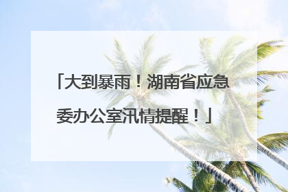 大到暴雨！湖南省应急委办公室汛情提醒！
