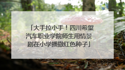 大手拉小手！四川希望汽车职业学院师生用情景剧在小学播撒红色种子