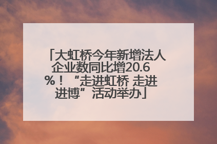 大虹桥今年新增法人企业数同比增20.6%！“走进虹桥 走进进博”活动举办