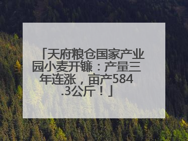 天府粮仓国家产业园小麦开镰：产量三年连涨，亩产584.3公斤！