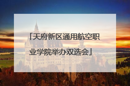天府新区通用航空职业学院举办双选会