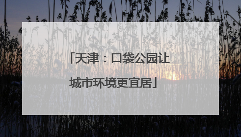 天津：口袋公园让城市环境更宜居