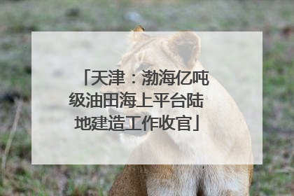 天津：渤海亿吨级油田海上平台陆地建造工作收官