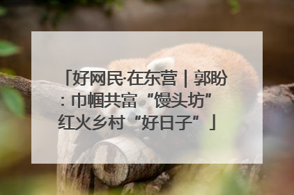 好网民·在东营｜郭盼：巾帼共富“馒头坊” 红火乡村“好日子”