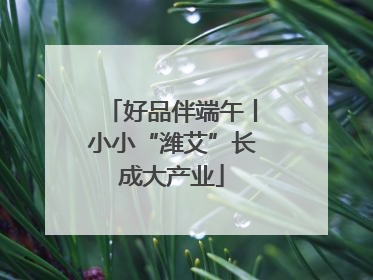 好品伴端午丨小小“潍艾”长成大产业