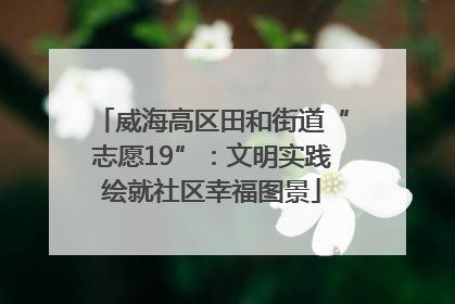 威海高区田和街道“志愿19”：文明实践绘就社区幸福图景