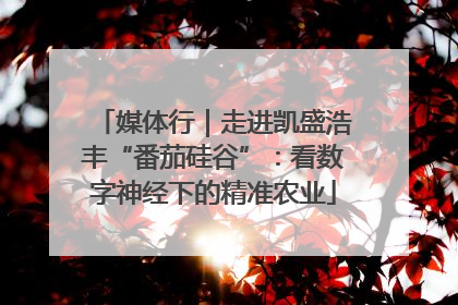 媒体行｜走进凯盛浩丰“番茄硅谷”：看数字神经下的精准农业