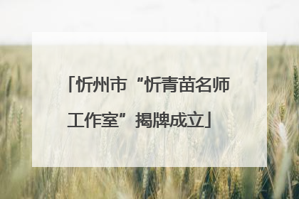 忻州市“忻青苗名师工作室”揭牌成立