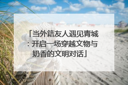 当外籍友人遇见青城：开启一场穿越文物与奶香的文明对话