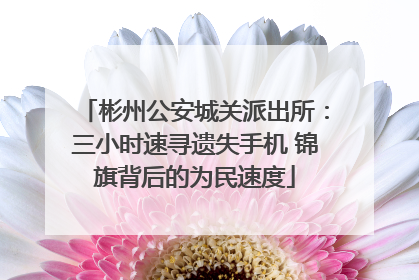 彬州公安城关派出所：三小时速寻遗失手机 锦旗背后的为民速度