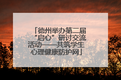 德州举办第二届“启心”研讨交流活动——共筑学生心理健康防护网