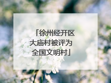 徐州经开区大庙村被评为全国文明村