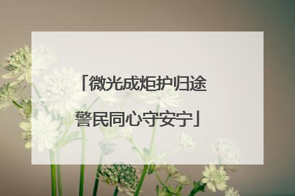 微光成炬护归途 警民同心守安宁