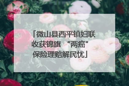 微山县西平镇妇联收获锦旗 “两癌”保险理赔解民忧