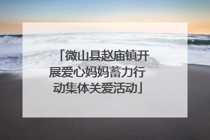 微山县赵庙镇开展爱心妈妈蓄力行动集体关爱活动