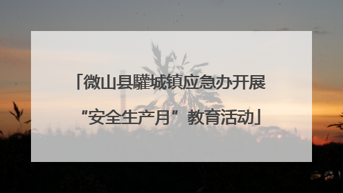 微山县驩城镇应急办开展“安全生产月”教育活动