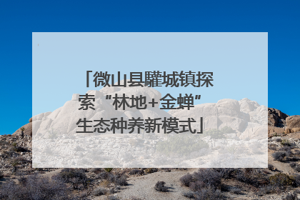 微山县驩城镇探索“林地+金蝉”生态种养新模式