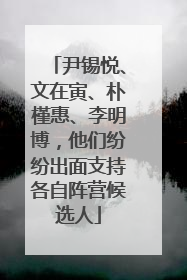 尹锡悦、文在寅、朴槿惠、李明博，他们纷纷出面支持各自阵营候选人