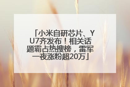 小米自研芯片、YU7齐发布！相关话题霸占热搜榜，雷军一夜涨粉超20万