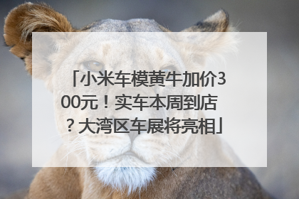 小米车模黄牛加价300元！实车本周到店？大湾区车展将亮相